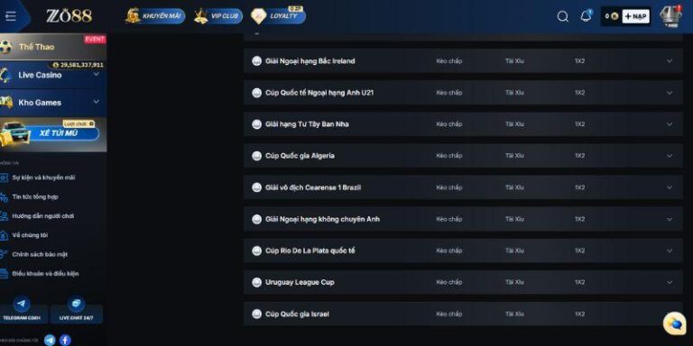 Cá Cược Quần Vợt Zo88