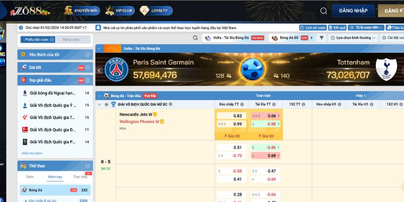 Cá cược đa dạng các môn thể thao tại Zo88